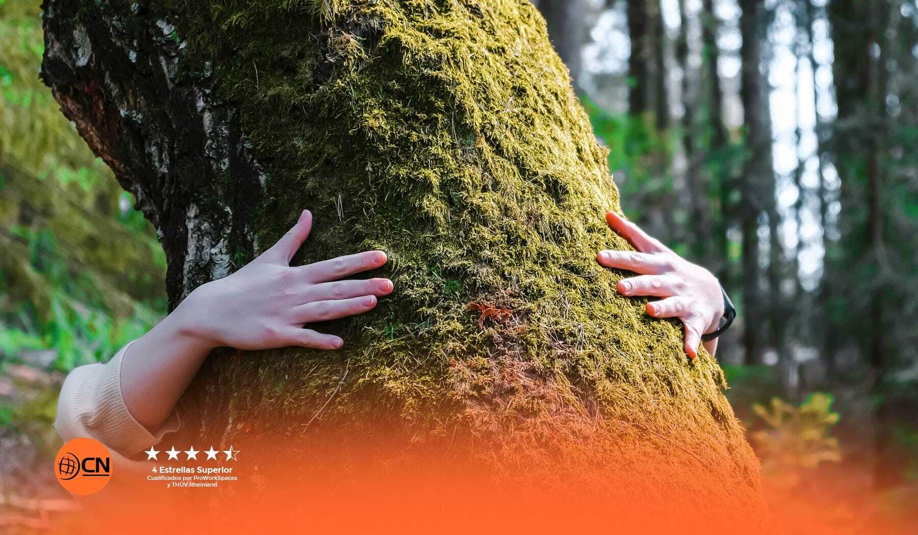 nuestras politicas de recicle y energia verde